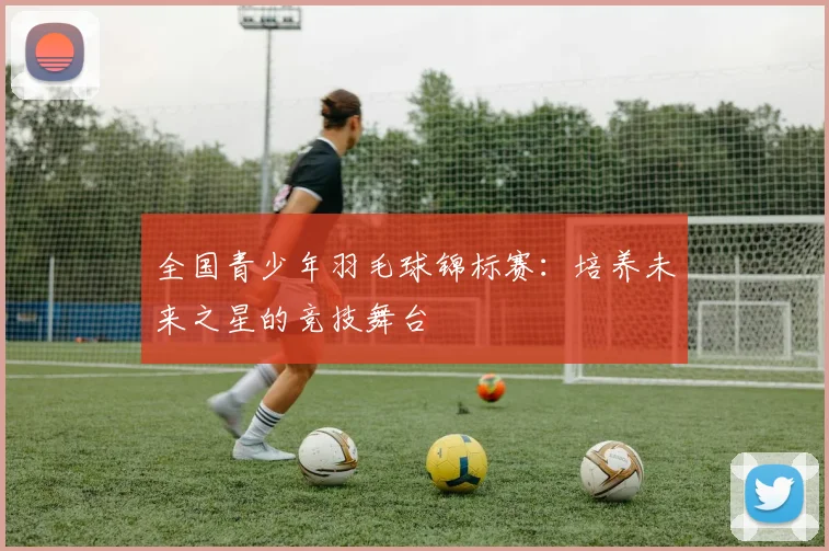 全国青少年羽毛球锦标赛:培养未来之星的竞技舞台
