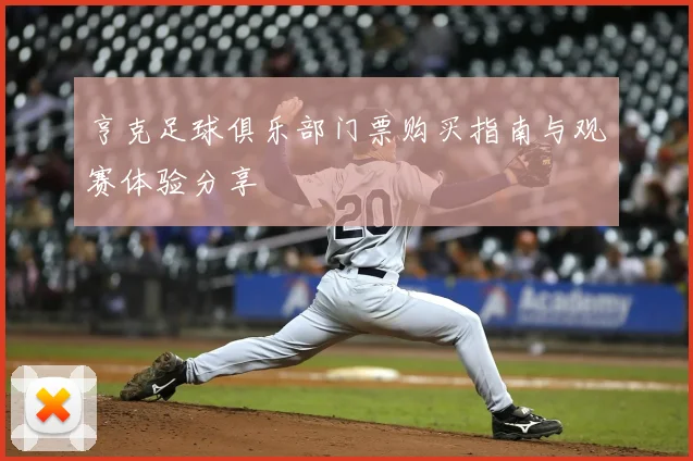 亨克足球俱乐部门票购买指南与观赛体验分享